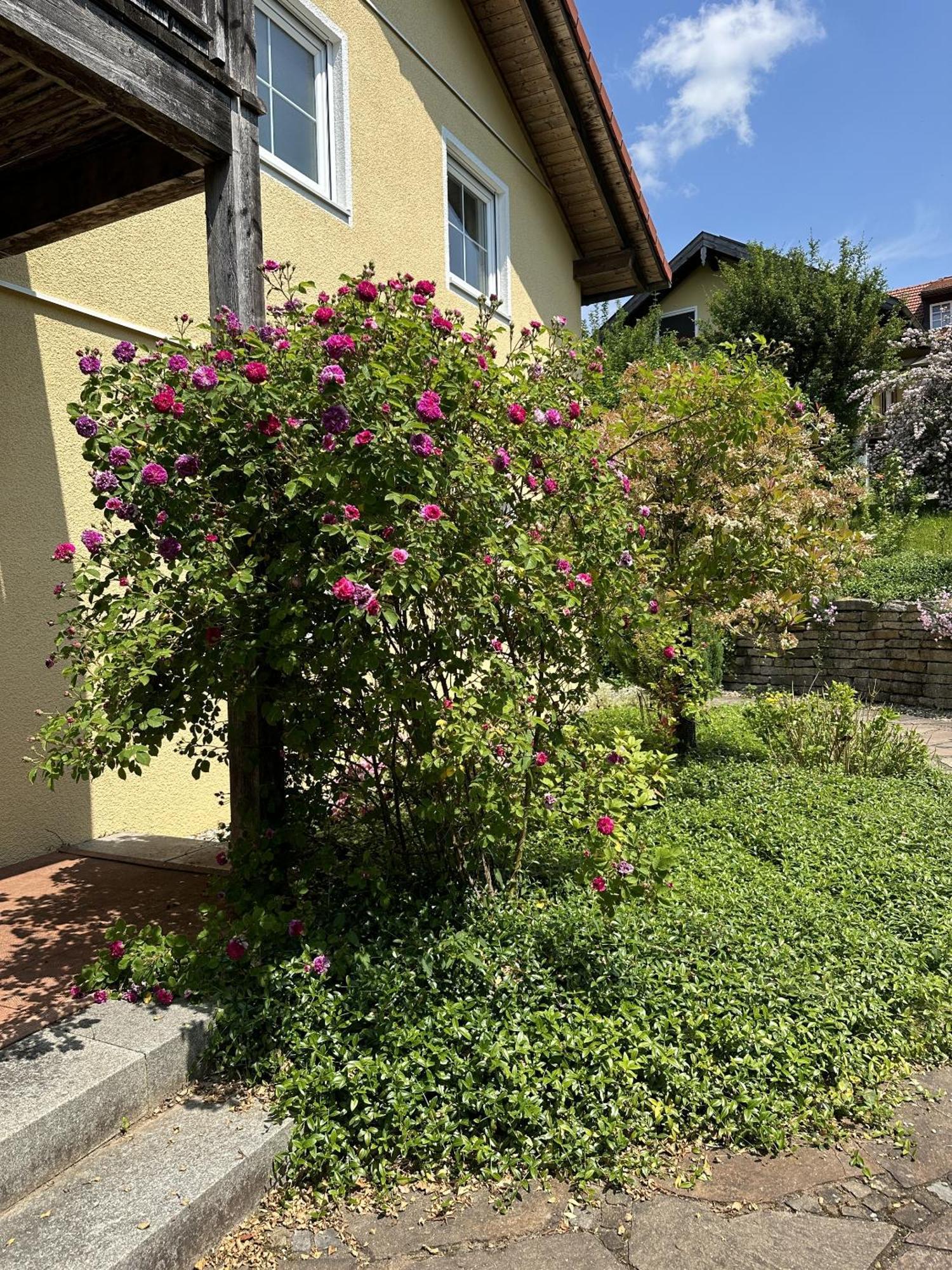 Meywohnen Bad Endorf Apartment ภายนอก รูปภาพ